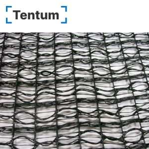 Геосетка Армисет SL 25х10/20х12, рулон 5.4×50м